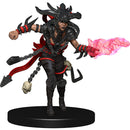 D&D Icons of the Realms Guildmasters Guide to Ravnica Companion Starter Two Dungeons & Dragons
