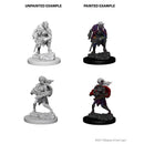 D&D Nolzurs Marvelous Unpainted Miniatures Drow Dungeons & Dragons