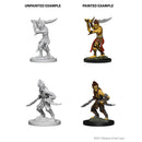 D&D Nolzurs Marvelous Unpainted Miniatures Githyanki Dungeons & Dragons