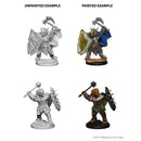 D&D Nolzurs Marvelous Unpainted Miniatures Dragonborn Male Paladin
