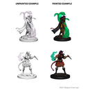 D&D Nolzurs Marvelous Unpainted Miniatures Tiefling Female Sorcerer Dungeons & Dragons