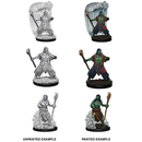 D&D Nolzurs Marvelous Unpainted Miniatures Water Genasi Male Druid Dungeons & Dragons