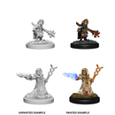 D&D Nolzurs Marvelous Unpainted Miniatures Female Gnome Wizard Dungeons & Dragons