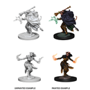 D&D Nolzurs Marvelous Unpainted Miniatures Female Tiefling Warlock Dungeons & Dragons