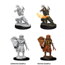 D&D Nolzurs Marvelous Unpainted Miniatures Male Human Druid Dungeons & Dragons