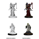 D&D Nolzurs Marvelous Unpainted Miniatures Green Hag & Night Hag Dungeons & Dragons