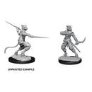 D&D Nolzurs Marvelous Unpainted Miniatures Male Tabaxi Rogue Dungeons & Dragons