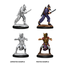 D&D Nolzurs Marvelous Unpainted Miniatures Male Human Monk Dungeons & Dragons