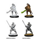D&D Nolzurs Marvelous Unpainted Miniatures Male Human Fighter Dungeons & Dragons