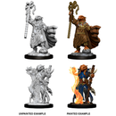 D&D Nolzurs Marvelous Unpainted Miniatures Female Dragonborn Sorcerer