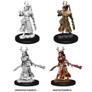 D&D Nolzurs Marvelous Unpainted Miniatures Female Human Druid Dungeons & Dragons