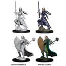 D&D Nolzurs Marvelous Unpainted Miniatures Female Elf Paladin Dungeons & Dragons