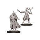D&D Nolzurs Marvelous Unpainted Miniatures Male Elf Paladin Dungeons & Dragons