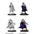 D&D Nolzurs Marvelous Unpainted Miniatures Female Human Sorcerer Dungeons & Dragons