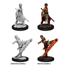 D&D Nolzurs Marvelous Unpainted Miniatures Male Half-Elf Monk Dungeons & Dragons