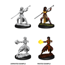 D&D Nolzurs Marvelous Unpainted Miniatures Female Half-Elf Monk Dungeons & Dragons