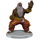 Critical Role NPCs of Tal'Dorei Set 2