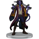 Critical Role The Might Nein Box Set