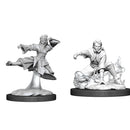 D&D Nolzurs Marvelous Unpainted Miniatures Female Human Monk Dungeons & Dragons
