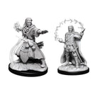 D&D Nolzurs Marvelous Unpainted Miniatures Male Human Wizard Dungeons & Dragons