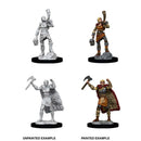 D&D Nolzurs Marvelous Unpainted Miniatures Female Human Barbarian Dungeons & Dragons