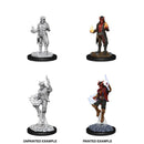 D&D Nolzurs Marvelous Unpainted Miniatures Male Tiefling Sorcerer Dungeons & Dragons