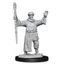 D&D Nolzurs Marvelous Unpainted Miniatures Human Wizard Male Dungeons & Dragons