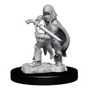 D&D Nolzurs Marvelous Unpainted Miniatures Halfling Rogue Male Dungeons & Dragons