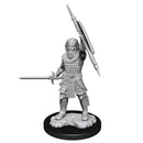 D&D Nolzurs Marvelous Unpainted Miniatures Human Male Fighter Dungeons & Dragons