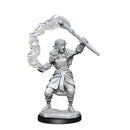 D&D Nolzurs Marvelous Unpainted Miniatures Firbolg Female Druid Dungeons & Dragons