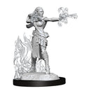 D&D Nolzurs Marvelous Unpainted Miniatures Female Multiclass Warlock + Sorcerer Dungeons & Dragons