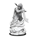 D&D Nolzurs Marvelous Unpainted Miniatures Djinni Dungeons & Dragons