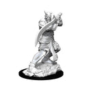 D&D Nolzurs Marvelous Unpainted Miniatures Efreeti Dungeons & Dragons