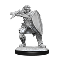D&D Nolzurs Marvelous Unpainted Miniatures Human Paladin Male Dungeons & Dragons