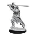 D&D Nolzurs Marvelous Unpainted Miniatures Human Paladin Male Dungeons & Dragons