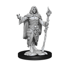 D&D Nolzurs Marvelous Unpainted Miniatures Human Druid Male Dungeons & Dragons