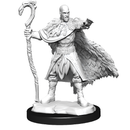 D&D Nolzurs Marvelous Unpainted Miniatures Human Druid Male Dungeons & Dragons