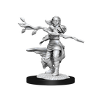 D&D Nolzurs Marvelous Unpainted Miniatures Human Druid Female Dungeons & Dragons