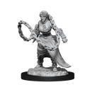 D&D Nolzurs Marvelous Unpainted Miniatures Human Monk Female Dungeons & Dragons