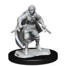 D&D Nolzurs Marvelous Unpainted Miniatures Half-Elf Rogue Female Dungeons & Dragons