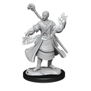 D&D Nolzurs Marvelous Unpainted Miniatures Half-Elf Wizard Male Dungeons & Dragons