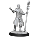D&D Nolzurs Marvelous Unpainted Miniatures Half-Elf Wizard Male Dungeons & Dragons