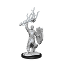 D&D Nolzurs Marvelous Unpainted Miniatures Half-Elf Paladin Male Dungeons & Dragons