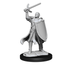 D&D Nolzurs Marvelous Unpainted Miniatures Half-Elf Paladin Male Dungeons & Dragons