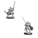 D&D Nolzurs Marvelous Unpainted Miniatures Half-Orc Paladin Male Dungeons & Dragons