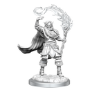D&D Nolzurs Marvelous Unpainted Miniatures Elf Cleric Male Dungeons & Dragons