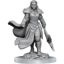D&D Nolzurs Marvelous Miniatures Orc Fighter Female Dungeons & Dragons