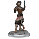D&D Nolzurs Marvelous Miniatures Shifter Fighter Dungeons & Dragons
