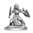 D&D Nolzurs Marvelous Miniatures Shifter Fighter Dungeons & Dragons