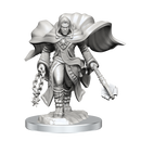 D&D Nolzurs Marvelous Unpainted Miniatures Aasimar Cleric Male Dungeons & Dragons
